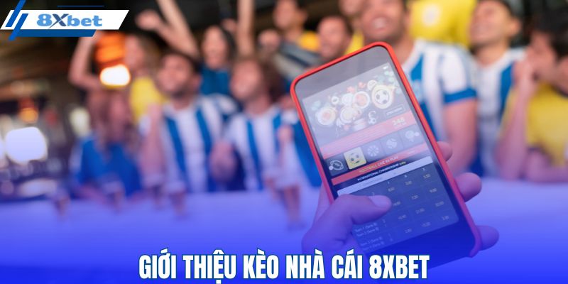 Kèo nhà cái 8XBET thu hút nhiều người tham gia