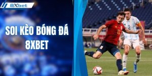 Soi kèo bóng đá 8XBET